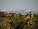 photo thumbnail #14