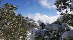 photo thumbnail #11