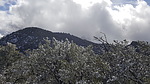 photo thumbnail #13
