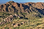 photo thumbnail #2