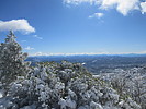photo thumbnail #4