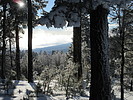 photo thumbnail #14
