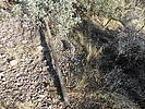 photo thumbnail #3
