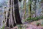 photo thumbnail #13