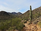 photo thumbnail #1