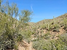 photo thumbnail #2