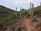 photo thumbnail #3