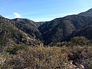 photo thumbnail #1