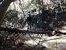 photo thumbnail #6