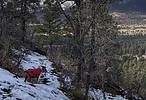 photo thumbnail #7