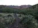 photo thumbnail #4