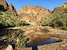 recent photo