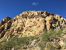 recent photo