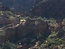 recent photo