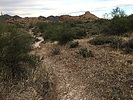 photo thumbnail #4
