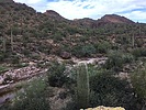 photo thumbnail #12