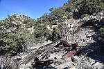 photo thumbnail #4