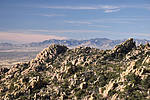 photo thumbnail #8