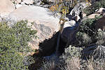 photo thumbnail #10