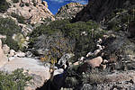 photo thumbnail #11