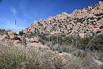 photo thumbnail #13