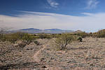 photo thumbnail #14