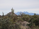 photo thumbnail #9