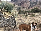 photo thumbnail #2