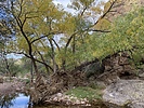 photo thumbnail #4