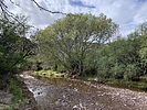 photo thumbnail #6