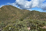photo thumbnail #10