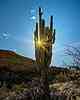 photo thumbnail #9
