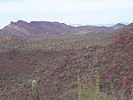 2019-12-03 :2: Mount Ajo :: DixieFlyer