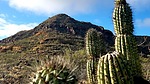photo thumbnail #12