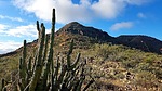 photo thumbnail #15