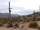 photo thumbnail #2