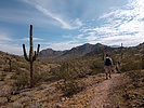 photo thumbnail #5