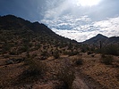 photo thumbnail #6
