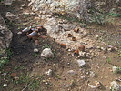 photo thumbnail #9