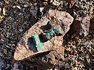 photo thumbnail #6