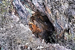 photo thumbnail #7
