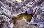 photo thumbnail #14