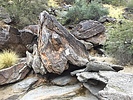 photo thumbnail #13