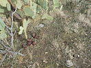 photo thumbnail #8