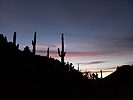 photo thumbnail #1