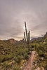 photo thumbnail #10