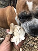 photo thumbnail #7