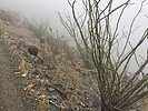 photo thumbnail #11
