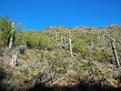 photo thumbnail #6