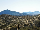 photo thumbnail #12
